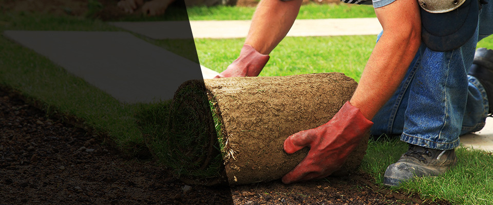 Pembroke Landscapers